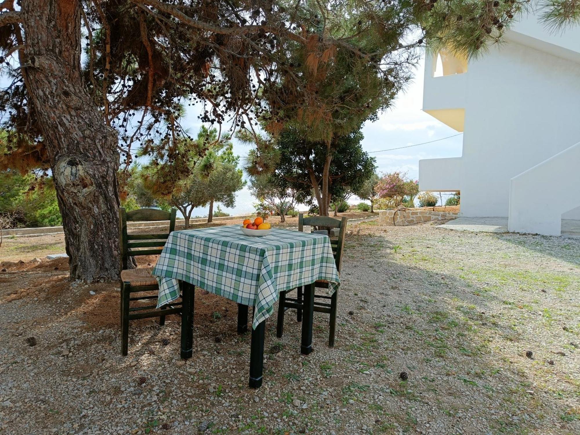 Studios Fokia Beach Amoopi Dış mekan fotoğraf